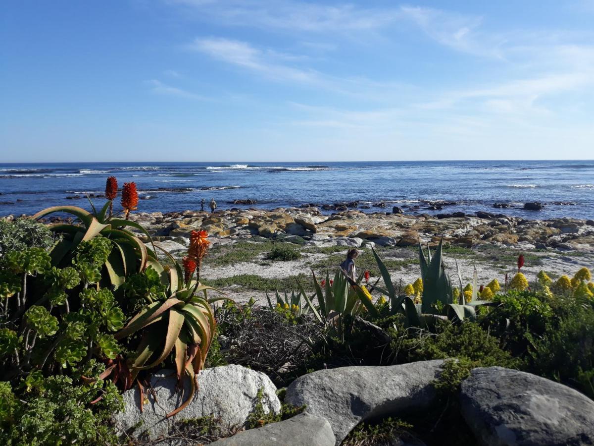 Guinea Fowl House Hotell Kommetjie Exteriör bild